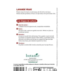 Graines de lavande variée botanic® - graines à semer