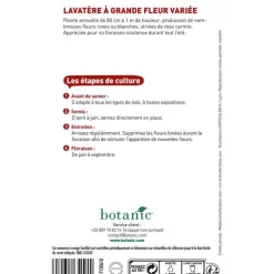 Graines de lavatère à grande fleur variée botanic® - graines à semer
