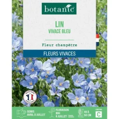 Graines de lin vivace bleu botanic® - graines à semer