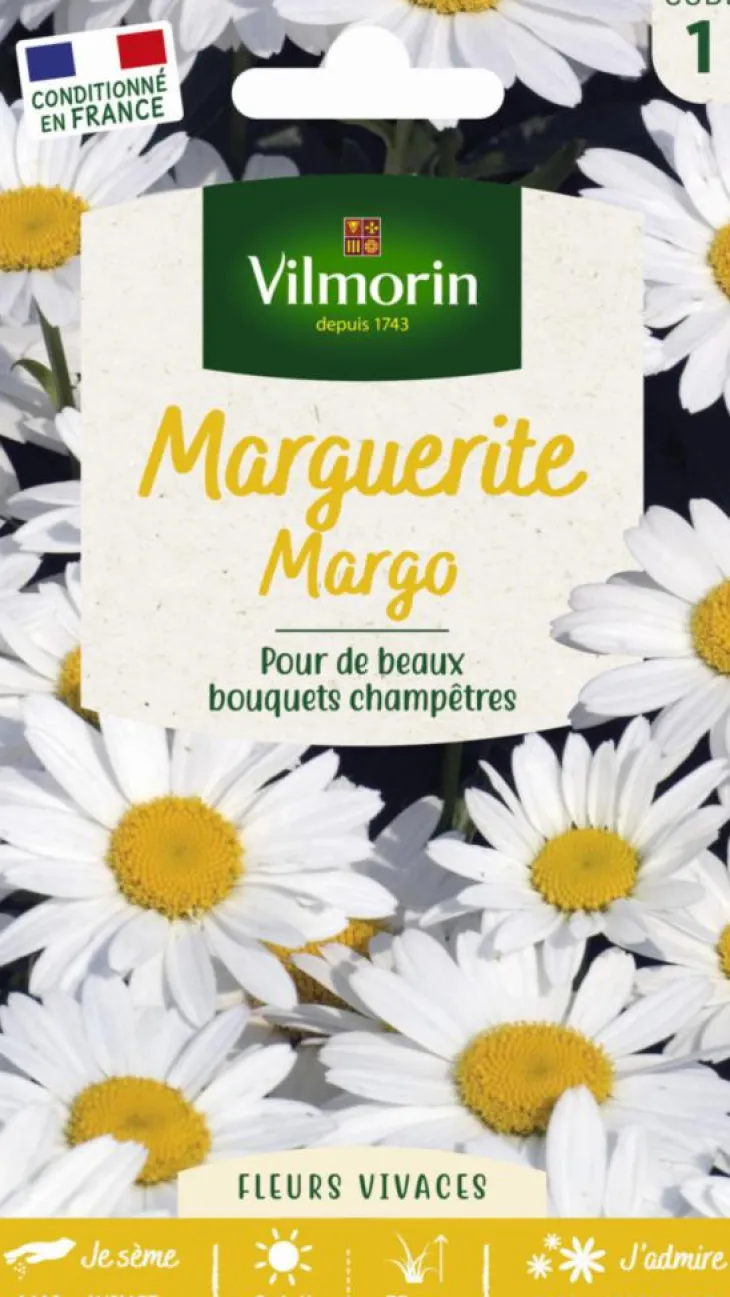 Graines de Marguerite Margo Vilmorin - graines à semer
