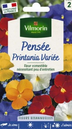 Graines de Pensée Printania variée Vilmorin - graines à semer