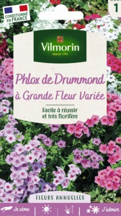 Graines de Phlox de Drummond à grande fleur variée Vilmorin - graines à semer