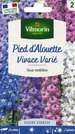 Graines de Pied d’Alouette vivace varié Vilmorin - graines à semer