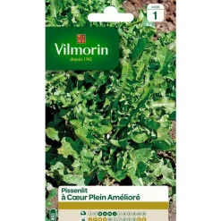 Graines de pissenlit à cœur plein amélioré Vilmorin - graines à semer