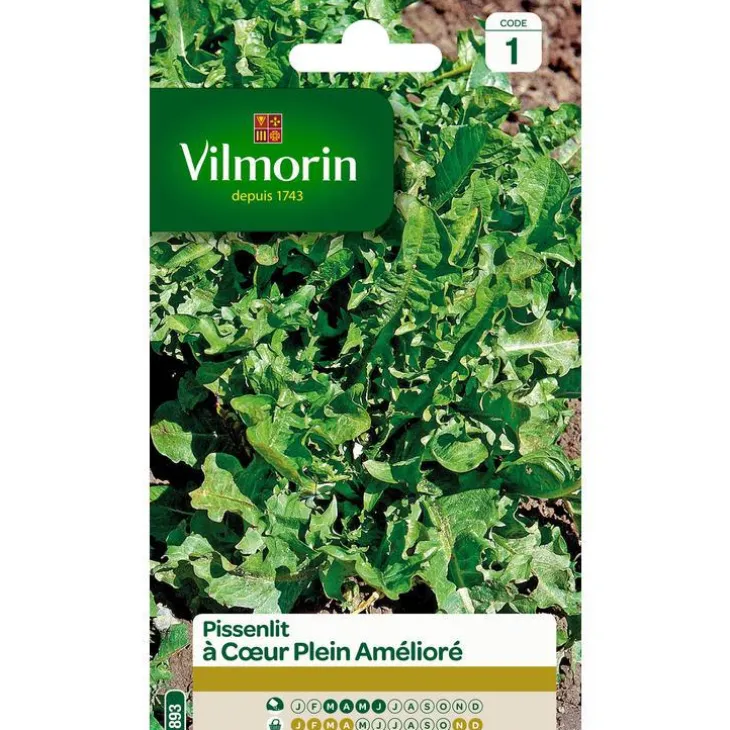 Graines de pissenlit à cœur plein amélioré Vilmorin - graines à semer