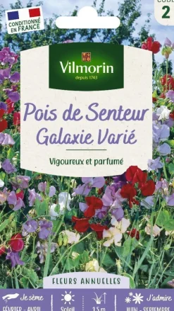 Graines de Pois de senteur Galaxie varié Vilmorin - graines à semer