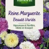 Graines de Reine Marguerite Beauté variée Vilmorin - graines à semer