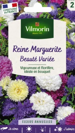 Graines de Reine Marguerite Beauté variée Vilmorin - graines à semer