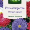 Graines de Reine Marguerite Déesse Variée Vilmorin - graines à semer