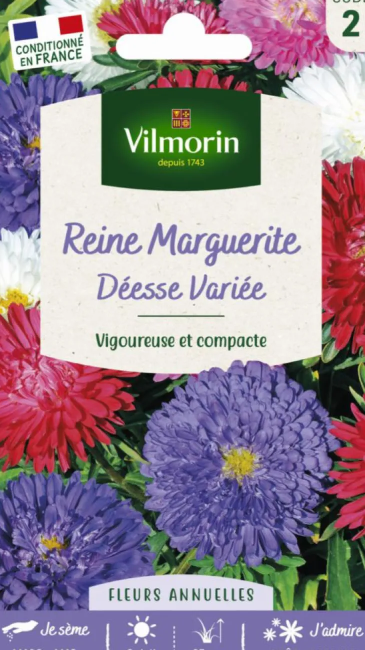 Graines de Reine Marguerite Déesse Variée Vilmorin - graines à semer