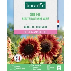 Graines de soleil beauté d'automne varié botanic® - graines à semer
