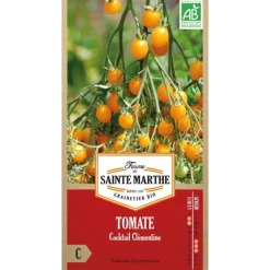 Graines de tomate cocktail clémentine bio Ferme de Sainte Marthe - graines à semer