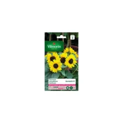 Graines de Tournesol Suntastic HF 1 Vilmorin - graines à semer