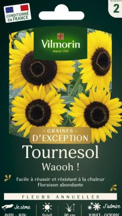 Graines de Tournesol Waooh ! Vilmorin Graines d‘exception - graines à semer