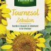 Graines de Tournesol Zebulon Vilmorin - graines à semer