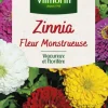 Graines de Zinnia fleur monstrueuse Vilmorin - graines à semer