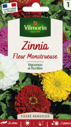 Graines de Zinnia fleur monstrueuse Vilmorin - graines à semer