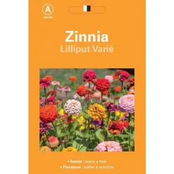 Graines de Zinnia Lilliput varié - graines à semer