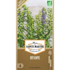 Graines d'hysope bio Ferme de Sainte Marthe - graines à semer