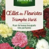 Graines d’œillet des fleuristes Triomphe varié Vilmorin - graines à semer