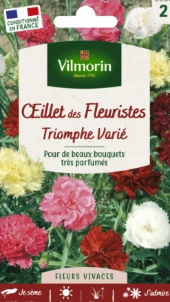 Graines d’œillet des fleuristes Triomphe varié Vilmorin - graines à semer