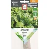 Graines d’Épinard Matador bio Ernest Turc - graines à semer