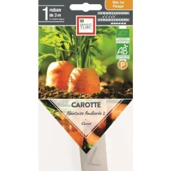 Graines présemées de carotte nantaise améliorée bio Ernest Turc - 1 ruban de 3 m