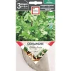 Graines présemées de Coriandre à petite graine bio Ernest Turc - 3 ronds de 10 cm