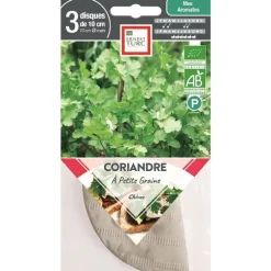 Graines présemées de Coriandre à petite graine bio Ernest Turc - 3 ronds de 10 cm