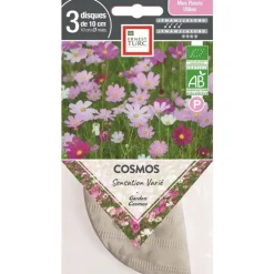 Graines présemées de Cosmos Sensation varié bio Ernest Turc - 3 ronds de 10 cm