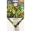 Graines présemées de mesclun de printemps bio Ernest Turc - 1 ruban de 3 m