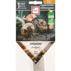 Graines présemées d’Oignon Stuttgart bio Ernest Turc - 1 ruban de 3 m