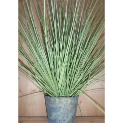 Graminée pot métal rond H 68 cm