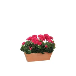 Géranium rose foncé plante artificielle jardinière Terra 39x13x40 cm