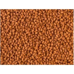 Granulés énergétiques pour reptiles, TETRA ReptoMin Energy - contenance 100ml - 34g