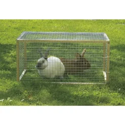 Grillage Fensanet Maille 1,27x 1,27 cm Fer galvanisé Gris L2,5 m x H50 cm