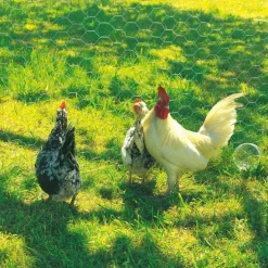 Grillage Galvanex maille hexagonale 2,5 cm Acier galvanisé Gris L10 m x H100 cm