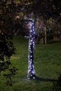 Guirlande Luciole 100 LED coloris transparent effet blanc chaud froid en plastique Smartgarden