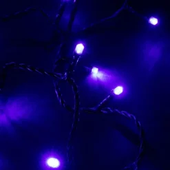 Guirlande lumineuse LED à lumière animée bleu sur secteur - 8 m