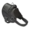 Harnais Easy Safe L noir