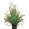 Herbe de Pampa pot zinc 135 cm