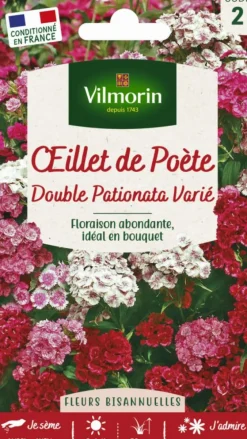 Œillet de Poète Double Pationata Varié Vilmorin - graines à semer
