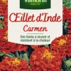 Œillet d'Inde Carmen Maniature Vilmorin - graines à semer