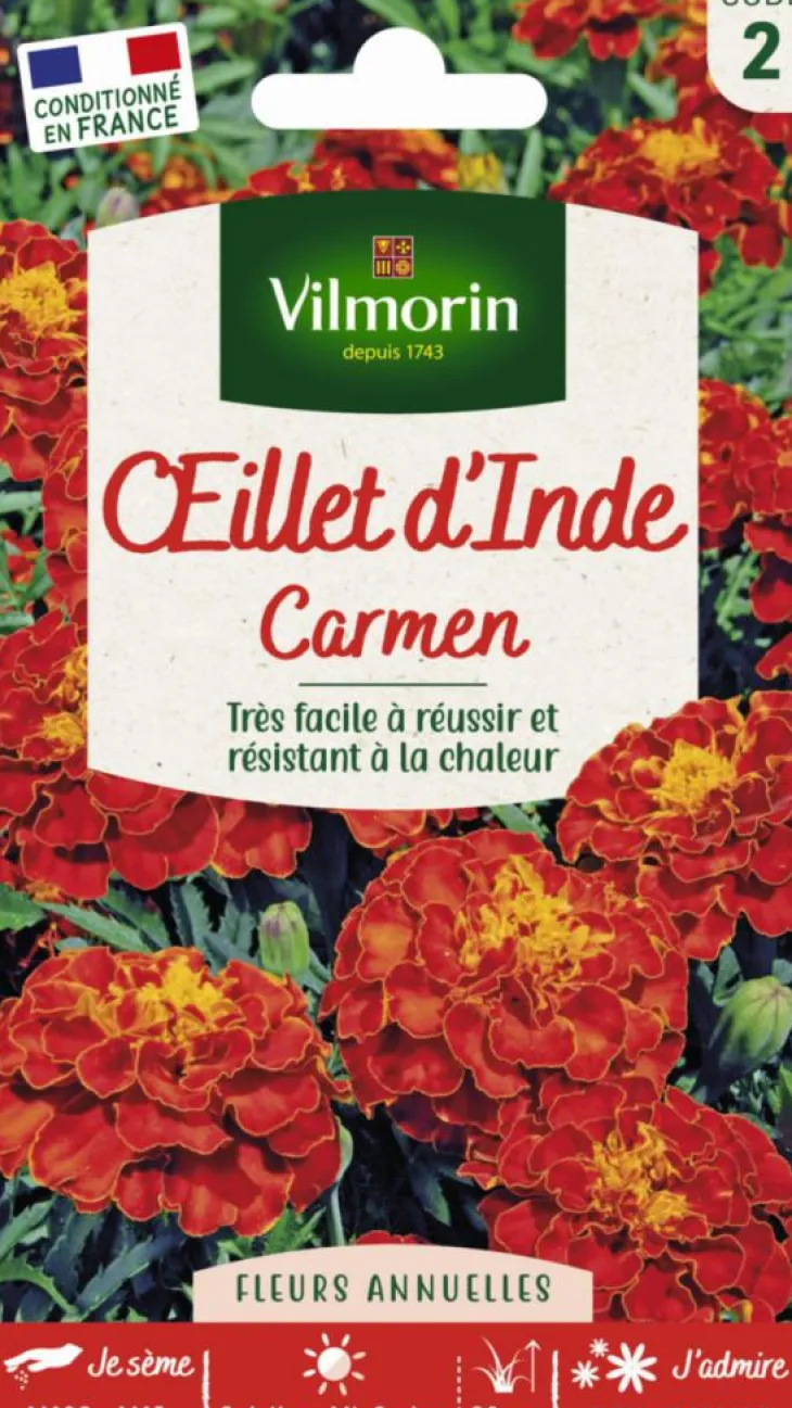 Œillet d'Inde Carmen Maniature Vilmorin - graines à semer
