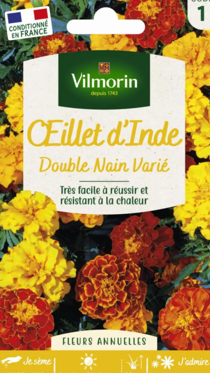 Œillet d'Inde Double nain varié Vilmorin - graines à semer