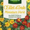 Œillet d'Inde miniature varié Vilmorin - graines à semer