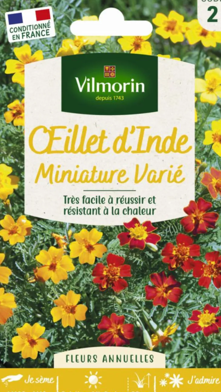 Œillet d'Inde miniature varié Vilmorin - graines à semer