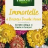 Immortelle à Bractées Double Variée Vilmorin - graines à semer