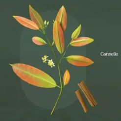 Infusion de Noël Yogi Tea édition Christmas Tea - la boîte carton de 17 sachets