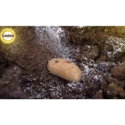 Insectes du sol 600 g 5,6x12,9x14,2 cm